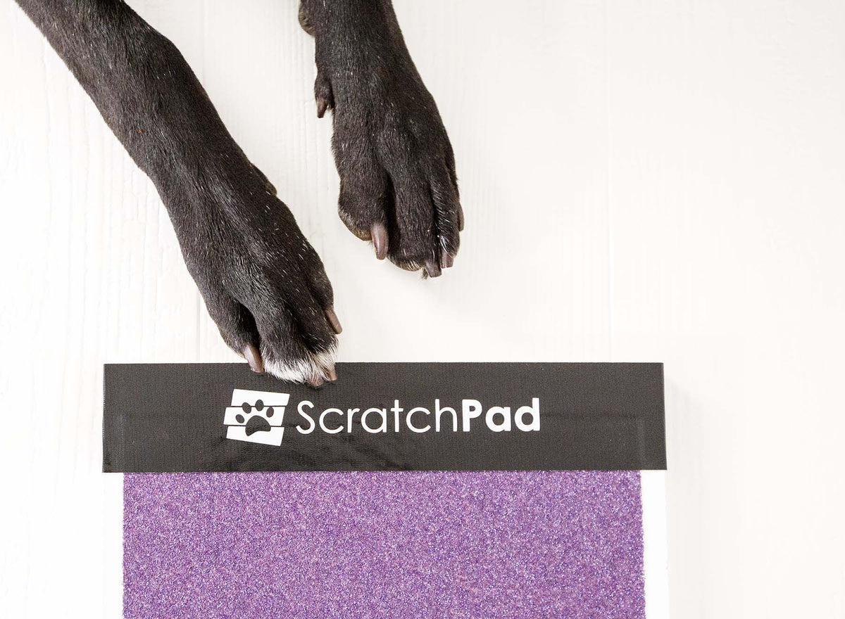 Original ScratchPad for Dogs® Dog Nail File