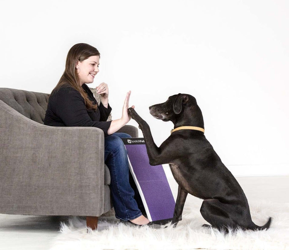 ScratchPad For Dogs ScratchPad Nail File For Dogs Fear Free Nail Care