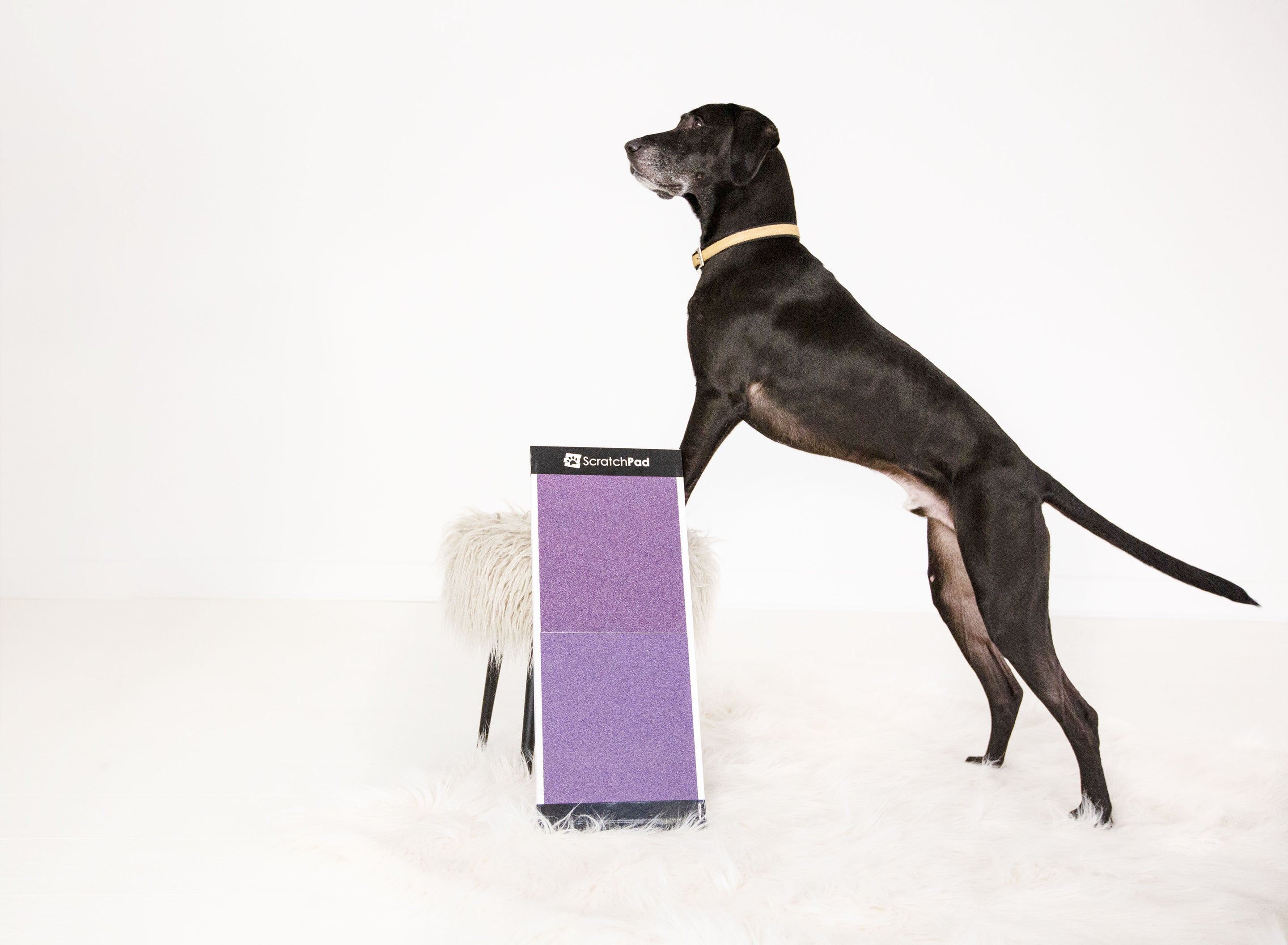 ScratchPad for Dogs ScratchPad Nail File for Dogs Fear Free Nail Care