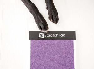scratchpad nail file for dogs fear free care grinder clipper scratchboard board