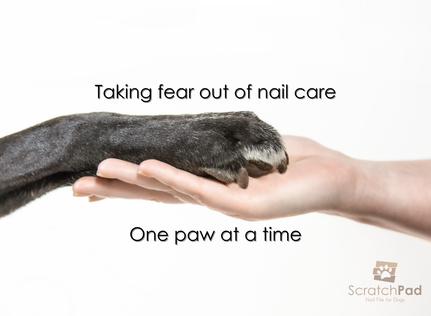 ScratchPad For Dogs ScratchPad Nail File For Dogs Fear Free Nail Care ScratchPad For Dogs ScratchPad Nail File For Dogs Fear Free Nail Care
