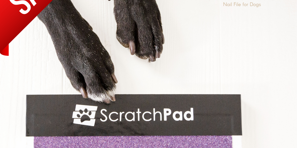 Dog hotsell scratch pad