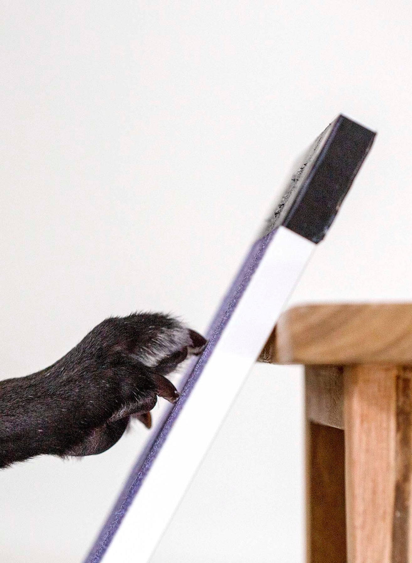 ScratchPad for Dogs ScratchPad Nail File for Dogs Fear Free Nail Care