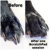 Scratch & Dent Sale 40% OFF - Original ScratchPad for Dogs® Dog Nail File-ScratchPad for Dogs