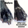 Starter Pack - ScratchPad for Dogs®-ScratchPad for Dogs
