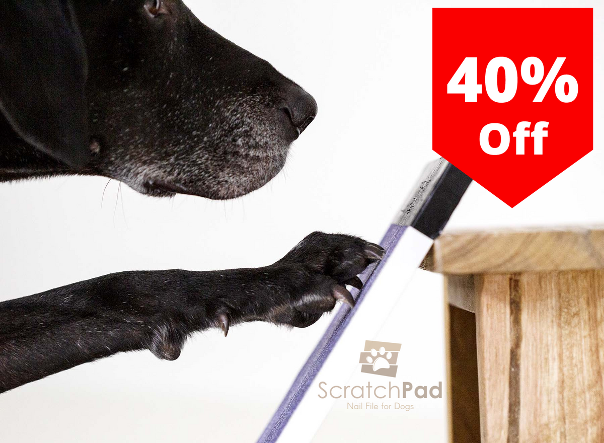 Scratch & Dent Sale 40 OFF Original ScratchPad for Dogs® Dog Nail F