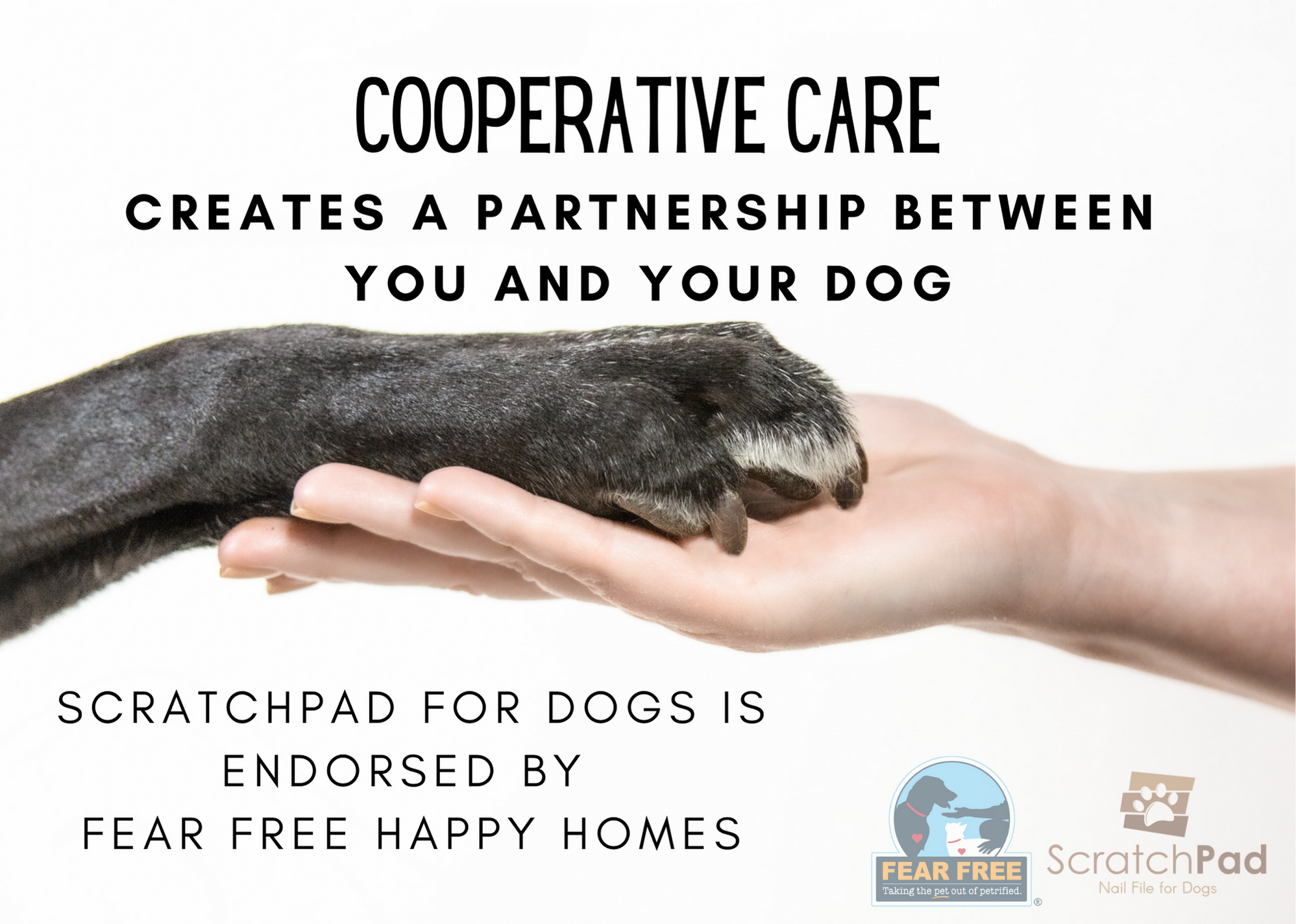 ScratchPad for Dogs ScratchPad Nail File for Dogs Fear Free Nail Care